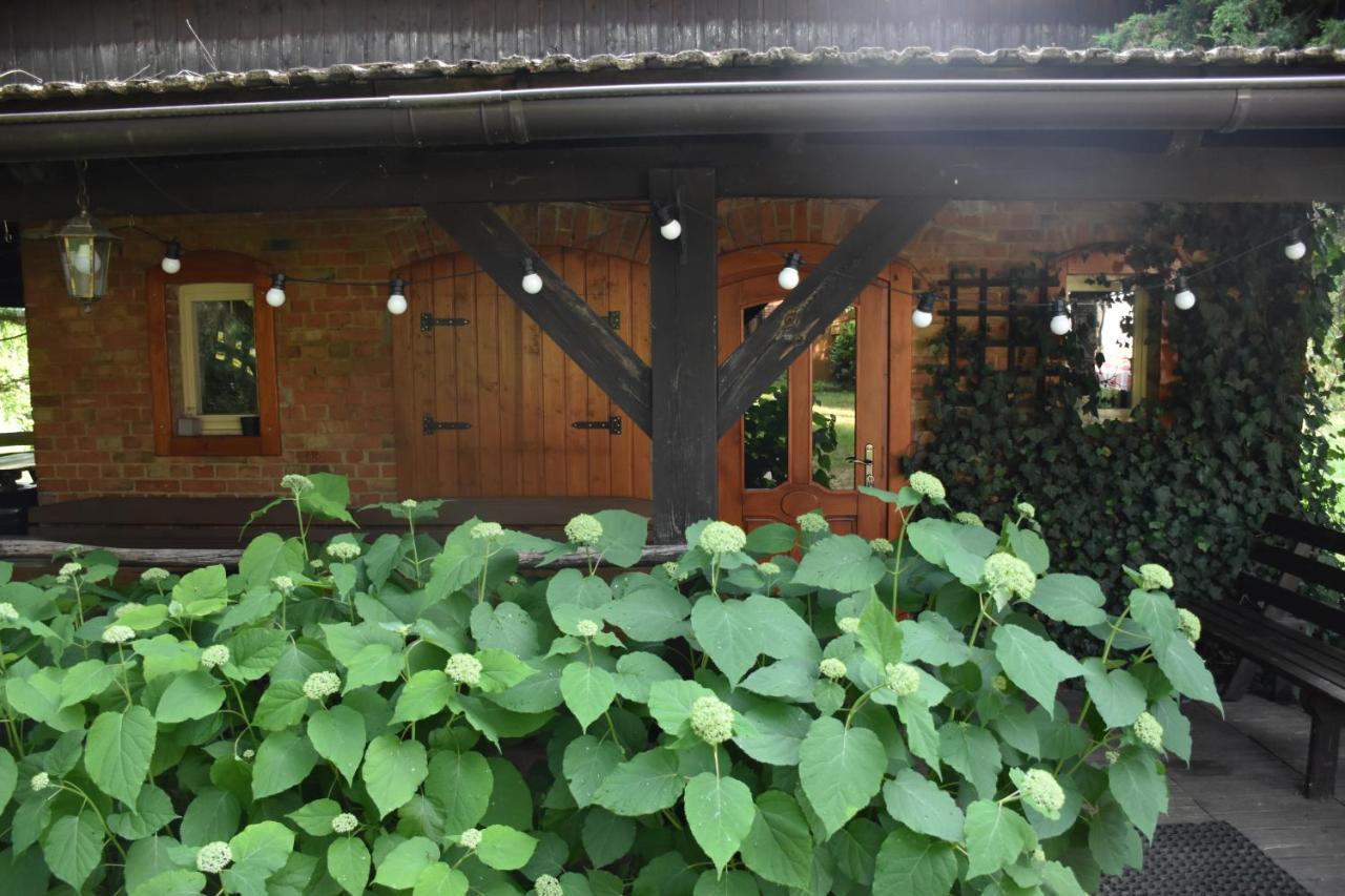Gosciniec Pod Debem Villa Trzciel Exterior photo